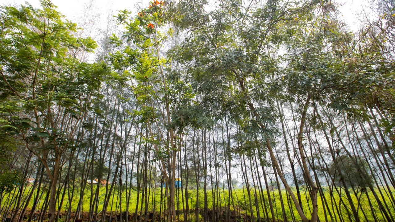 Aara Jungle Resort Coimbatore Exteriör bild